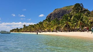 Echoes of the Dodo  Wildlife of Mauritius [upl. by Mazonson959]