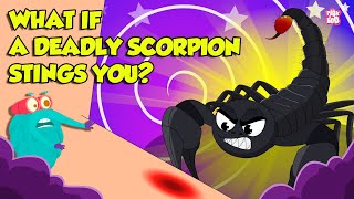 How Does Scorpion Sting  Scorpion Venom Effects  Most Deadliest Scorpions  Dr Binocs Show [upl. by Ilrahc]