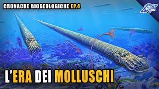 LEra dei Molluschi  Ordoviciano  Cronache Biogeologiche Ep 4 [upl. by Lulu]