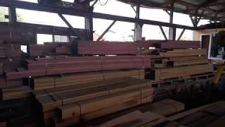 Greenheart Purpleheart Parika Sawmills Ltd [upl. by Anifled]