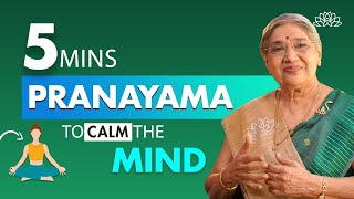 5 Minute Pranayama  Instant Mind Calmness  Immediate Relaxation  Stress Relief  Dr Hansaji [upl. by Primo]