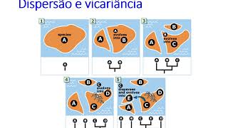 34  Conceitos básicos Dispersão e Vicariância [upl. by Lertnom989]