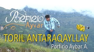 Porfirio Ayvar Toril Antaraqayllay  video clip oficial  Tarpuy Producciones [upl. by Suoirrad813]