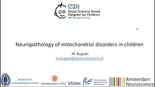 Neuropathology of Mitochondrial Disorders in Children  by Prof Marianna Bugiani  Amsterdam UMC [upl. by Licha22]