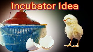 Home made Easy incubator idea [upl. by Airamasor778]