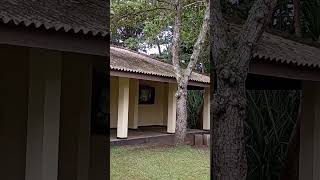 Martin Wickramasinghe Folk Museum museum srilanka travel [upl. by Giwdul]