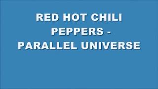 Red Hot Chili Peppers  Parallel Universe Lyrics [upl. by Charron]