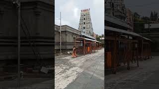 🔴 Live from 🔱 Mecheri Pathra Kaliyamman temple மேச்சேரி பத்ரகாளியம்மன் கோவில் [upl. by Nyrem]