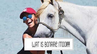 MET PAARDEN ZWEMMEN OP BONAIRE  Laura Ponticorvo  VLOG 445 [upl. by Lledniw172]