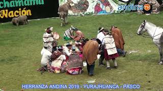 HERRANZA ANDINA  YURAJHUANCA 2019  CONCURSO [upl. by Mayrim]