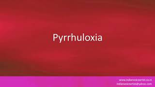 How to pronounce quotPyrrhuloxiaquot [upl. by Lotsyrc]