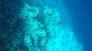 Snorkeling Blue Hole Dahab [upl. by Rafaelof]