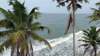 Where to stay in Varkala  Resorts at Varkala cliff  Sea facing resorts in Varkala [upl. by Xylon]