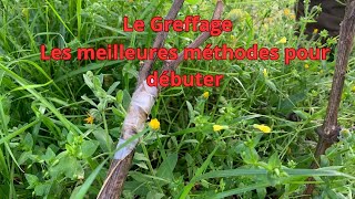 Le greffage les meilleures methodes pour débuter [upl. by Iila]