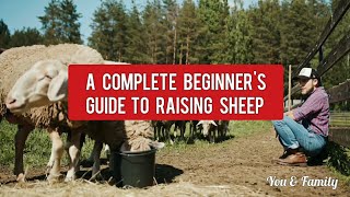 Sheep Farming Complete Beginners Guide  How To Start Sheep Farm  Sheep Raising Tips [upl. by Torosian996]