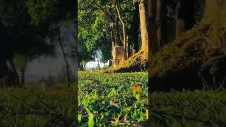 viralvideo duet bangladesh motivation [upl. by Reivaj995]