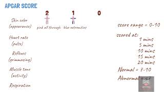 APGAR SCORE [upl. by Halstead]