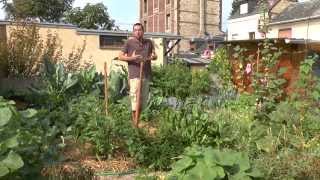 Mon jardin potager urbain permaculture Sept 2015 [upl. by Narayan]