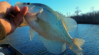 Catching Winter Crappie on a windy after noon [upl. by Eserrehs]