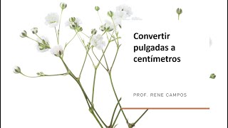 Convertir pulgadas a centímetros [upl. by Dane]