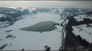 Grosser Alpsee bei Immenstadt im Allgäu friert langsam zu  Bergwasser [upl. by Dasie]