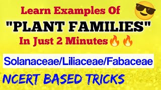 Learn PLANT FAMILIES In 2 Minutes😎 Solanaceae Liliaceae Fabaceae  Ncert Based Tricks  Neet 2021 [upl. by Htepsle]