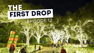 The First Drop Ep 12  Busch Gardens Tampa Bay [upl. by Ryhpez]