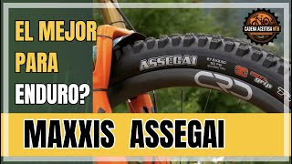 🤔 MAXXIS ASSEGAI  El mejor GRIP de un MTB Tire en el Planeta Maxxis Assegai Review [upl. by Mather925]