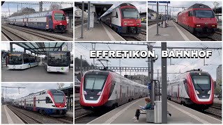 Züge beim Bahnhof Effretikon  Trains at Effretikon station 2023 [upl. by Editha824]