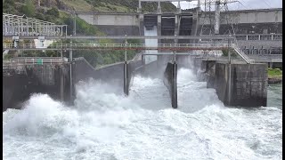 BREAKING NEWS Roxburgh Dam spillway  Clutha River after heavy Rain  by Drone [upl. by Boony]