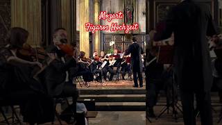 Mozart Overture The Marriage of Figaro horstsohm amp orchestra shorts music live [upl. by Swanhilda611]