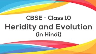 Heredity amp Evolution Hindi  Class 10 X Science CBSE [upl. by Etiuqal]