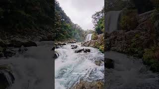 Add This Waterfall To Your Bucket List Tawhai Falls Tongariro National Park shorts newzealand [upl. by Decker]