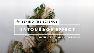 Terpenes amp Terpenoids  Presented by Dr Jamie Corroon [upl. by Adnauq]