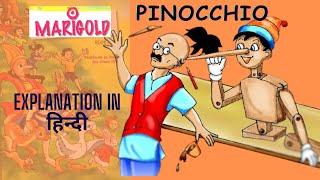 Pinocchio  Hindi Explanation  Class 4 [upl. by Aneetak809]