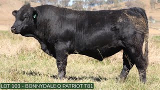 Lot103 Bonnydale Q T81 [upl. by Aurelea169]