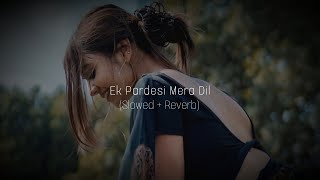 Ek Pardesi Mera Dil Gaya  Slowed Reverb  Sophie Choudry [upl. by Etnomal753]