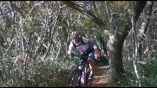 The best mtb trips in Croatia and Slovenia  IN THE WOODS OF POREC [upl. by Noerb]