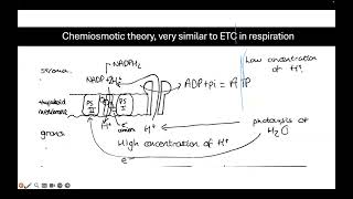 A Level AQA OCR A Biology Respiration amp Photosynthesis  Free Lessons by MyUCAT [upl. by Guthry]