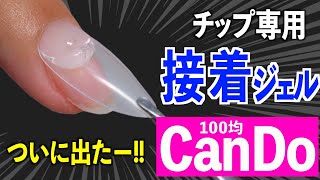 キャンドゥのネイルチップジェル使い方【ネイリストASKA】 [upl. by Lansing]