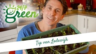 Tip van Lodewijk Stekken [upl. by Berlinda]