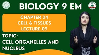 Cell Organelles and Nucleus  Grade 9 Biology  CHP 04  LECTURE 09  Cell amp Tissues [upl. by Yelra]