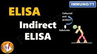 Indirect ELISA FLImmuno71 [upl. by Ahseekal]