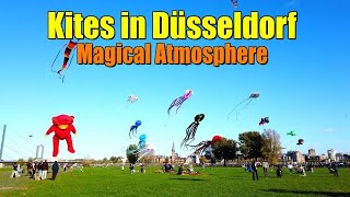 KITES IN DÜSSELDORF GERMANY  MAGICAL ATMOSPHERE 2022 [upl. by Aramenta]