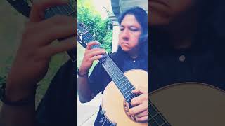 Milonga  Jorge Cardoso shorts shortyoutube short video guitar musica arte instrumental ab [upl. by Frieder]