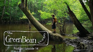 The Green Bean Podcast Episode 14 [upl. by Adnahsar]