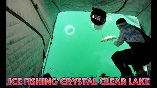 Clear Ice Fishing  Lake Simcoe Underwater Footage at 338 [upl. by Ojillek22]