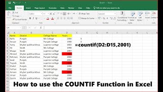 How to Use the COUNTIF Function in Excel [upl. by Nitsew]