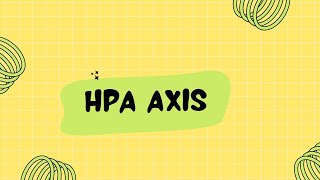 HPA axis  HypothalamusPituitaryAdrenal Axis  What is the role of HPA axis in stress [upl. by Nawiat659]