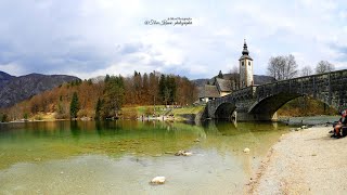 The Most Beautiful Landscape of Slovenia 2022  Lake Bohinj  episode 5 [upl. by Belford]